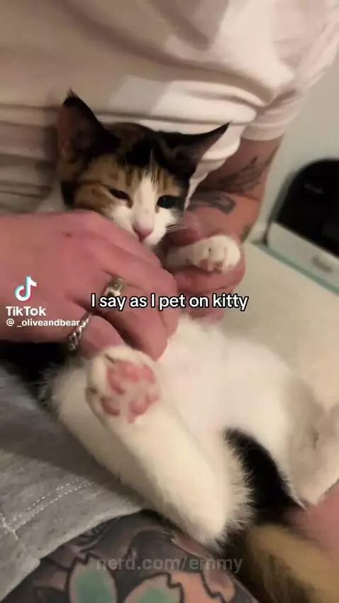 Video by emmy