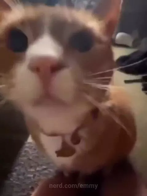 Video by emmy