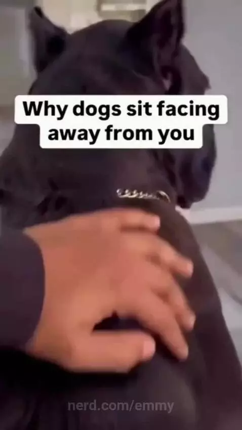 Video by emmy