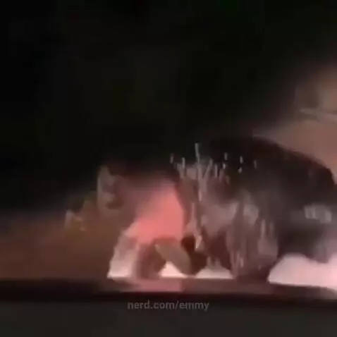 Voices of the void by emmy