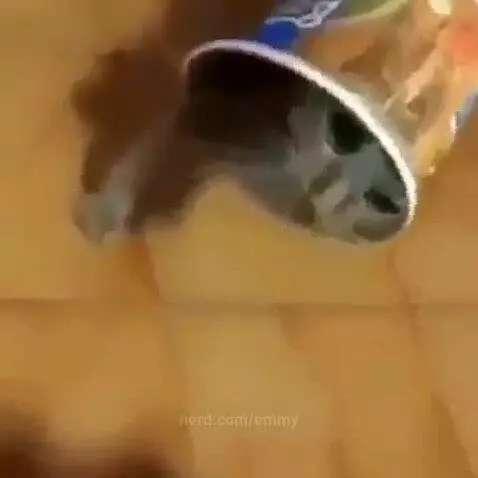 Half life two by emmy