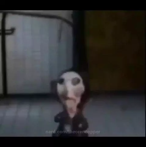 goofy vid by theorencopper