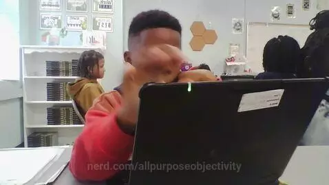 allpurposeobjectivity post preview
