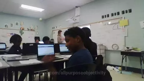 allpurposeobjectivity post preview