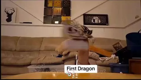 youraveragememeguy2