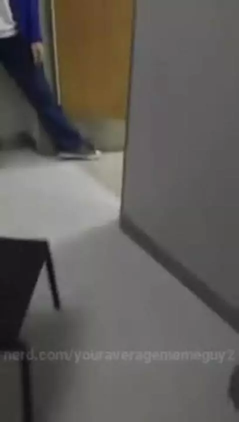 youraveragememeguy2