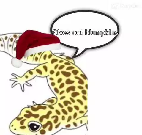 reptilelover3