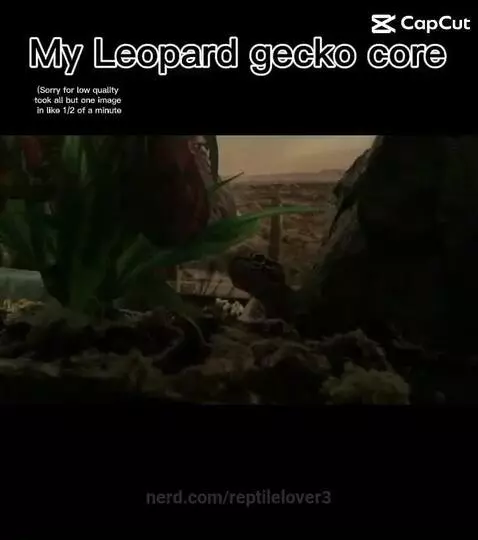 video poster
