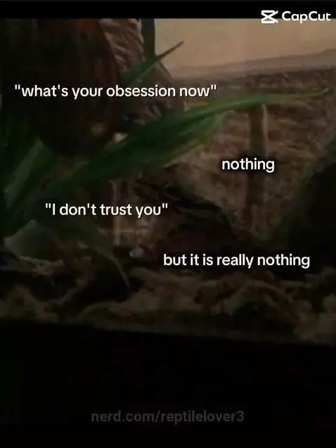 reptilelover3