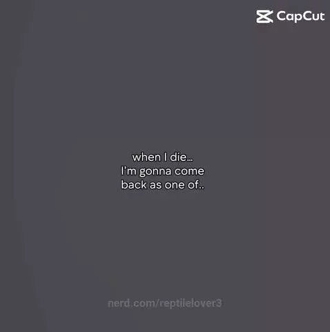 reptilelover3