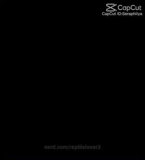 video poster