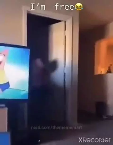 themememart post preview