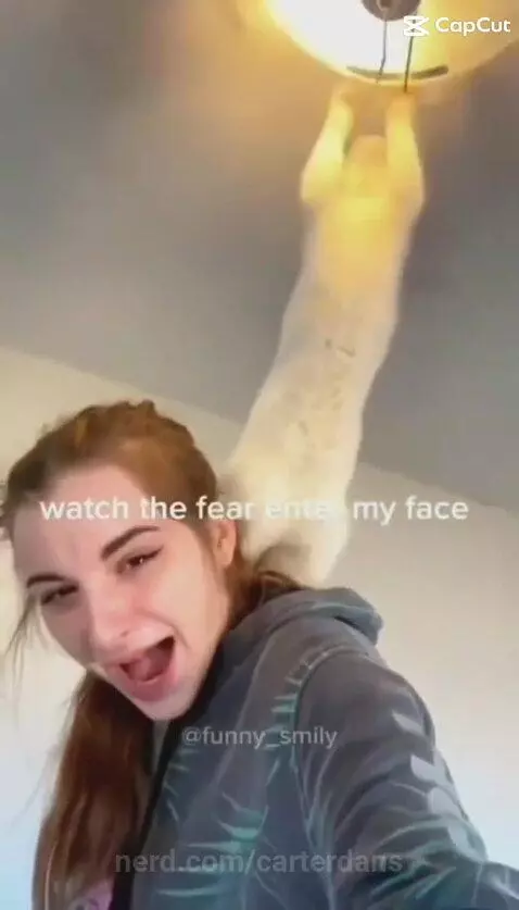 carterdans post preview