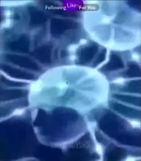 Naw really by darkyt