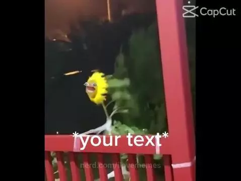 ilovememes