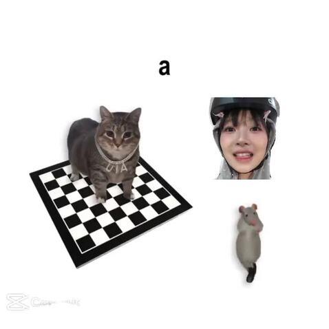 ilovememes