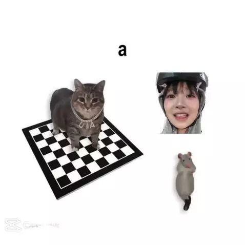 ilovememes