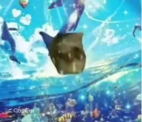 ilovememes