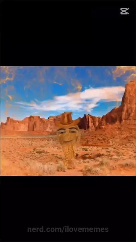 nugget, gedagedigedagedao, rickroll by ilovememes