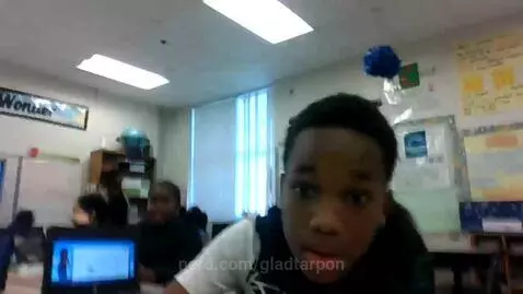 he hit his head by gladtarpon