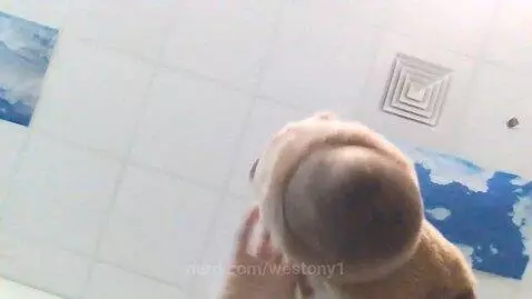 capybara by westony1