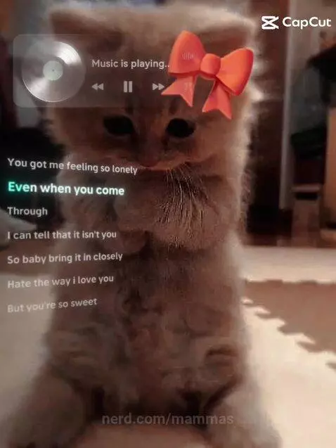 mammas post preview