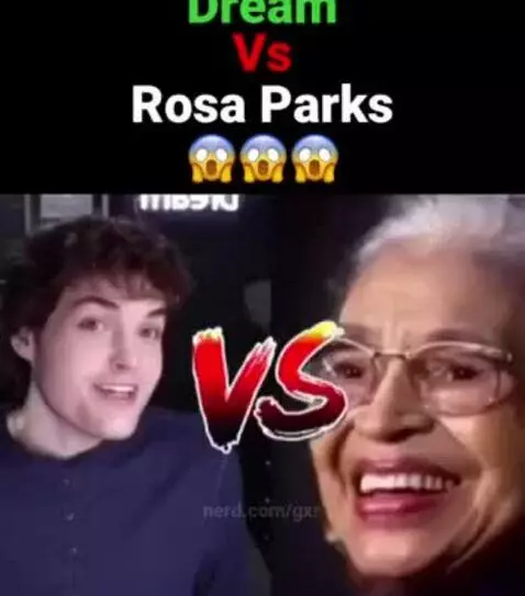 dream vs rosa parrrks by gxr