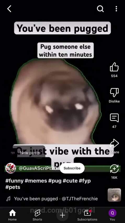 b01gor3l