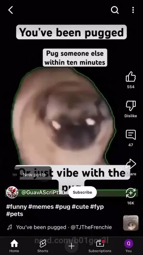 b01gor3l