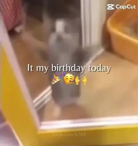 Video by tt789