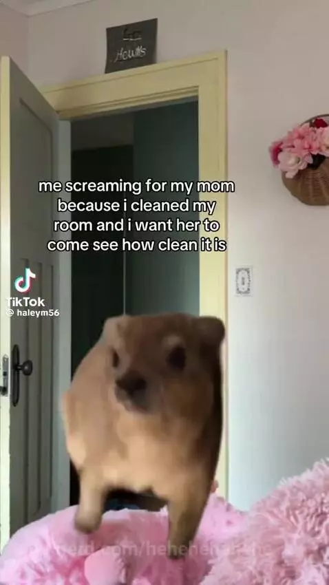 Cleann by hehehehehehe