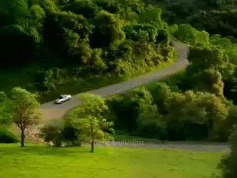Video by djm