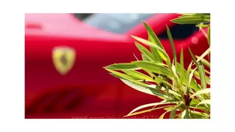 FERRARI EDIT by ninigoated1799