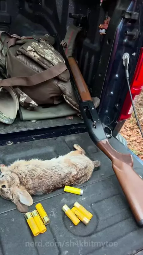 Video by sh4kbitmytoe