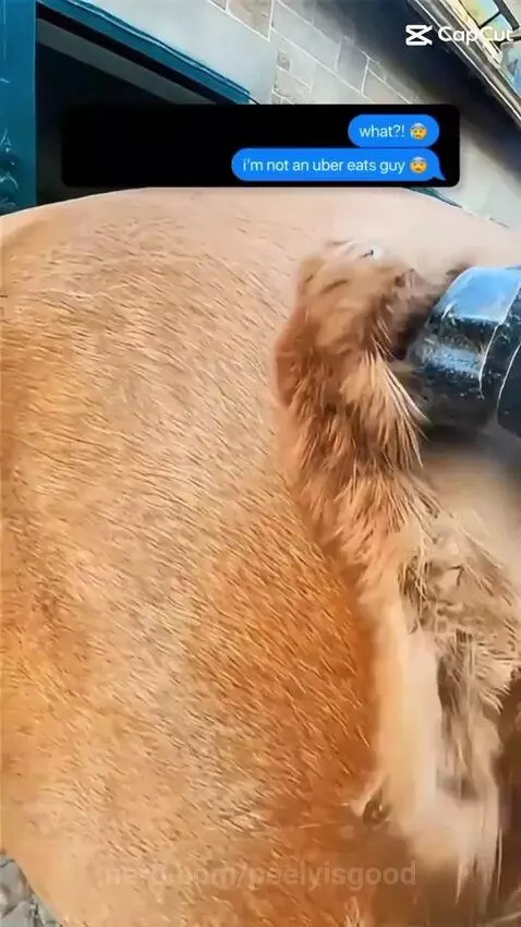 1.5 million let's goooooooo!!! by peelyisgood