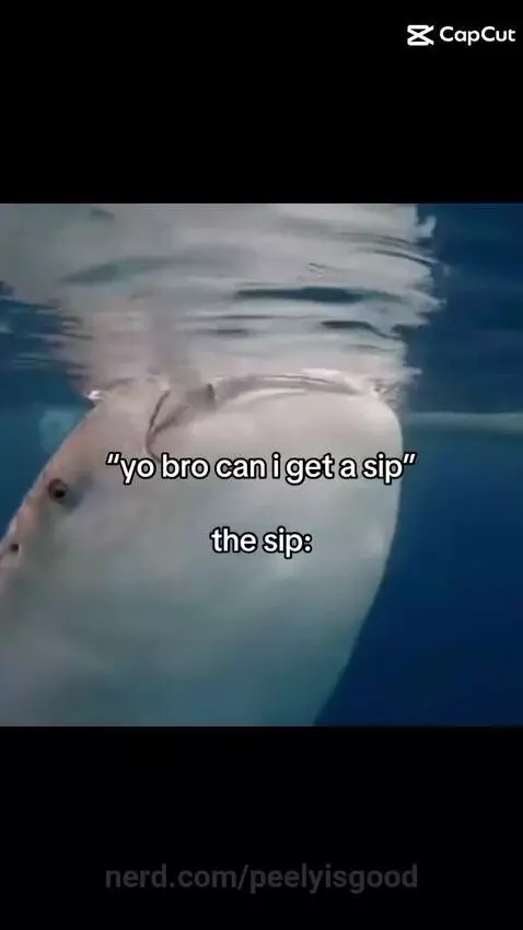 Video by peelyisgood