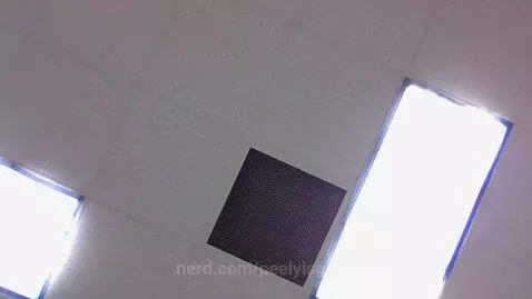 ELEPHANT by peelyisgood