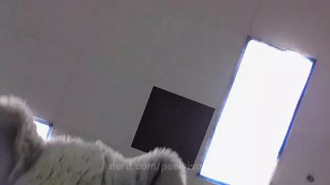 elephant dances by peelyisgood