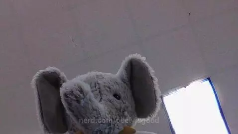 exact same video (see other on iliketurtles) by peelyisgood