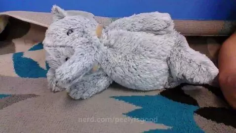 elephant chillin by peelyisgood