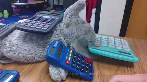 elephant died of school by peelyisgood