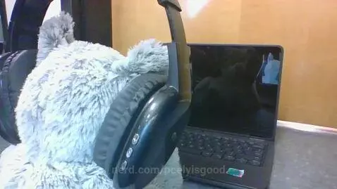 ELEPHANT GAMES! by peelyisgood