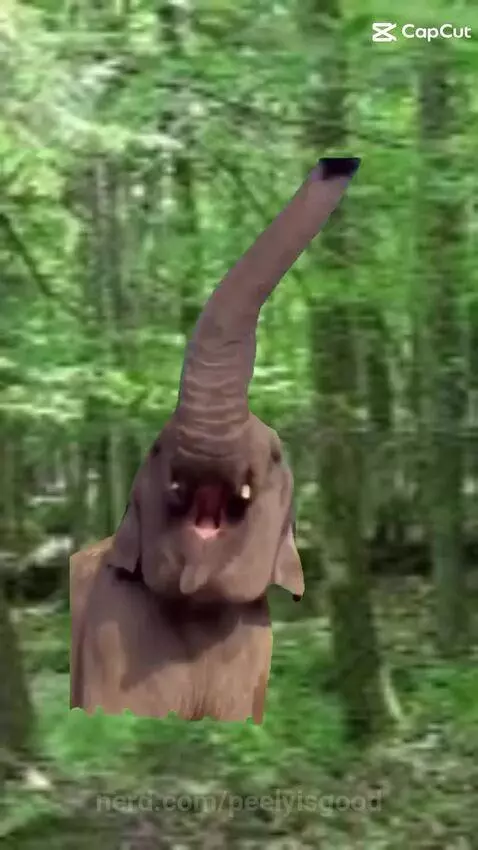 Happy elephant 🐘 by peelyisgood