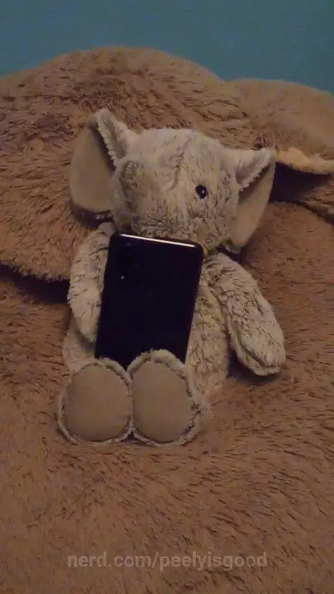 Elephant texting the boys by peelyisgood