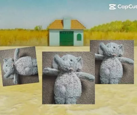 Red light green light by peelyisgood