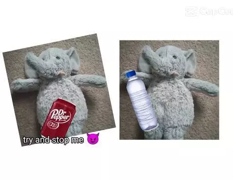 Elephant tries water for the first time by peelyisgood