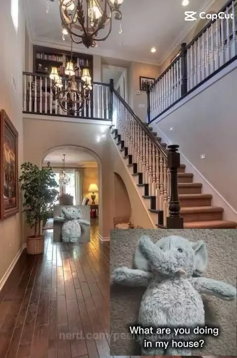 Waffle Fries by peelyisgood