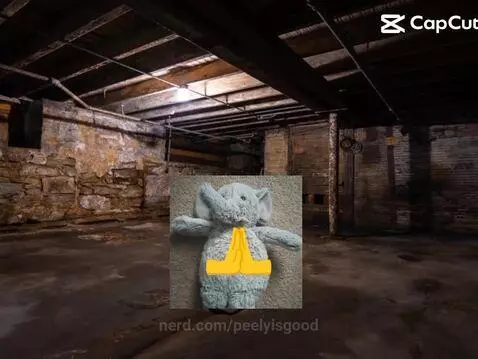 peelyisgood post preview