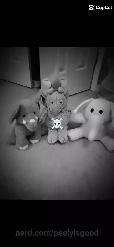 The best trio by peelyisgood