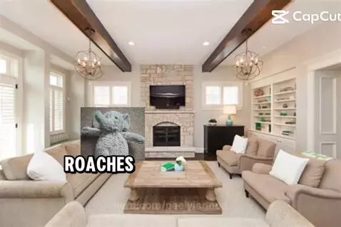 I live with roaches by peelyisgood